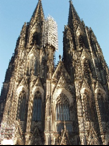 ˸