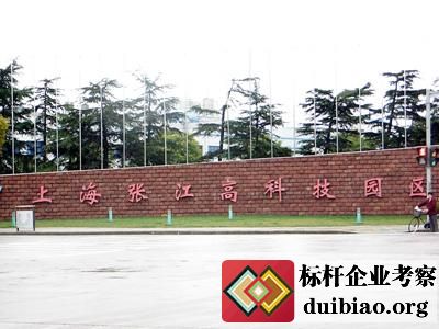 张江高科