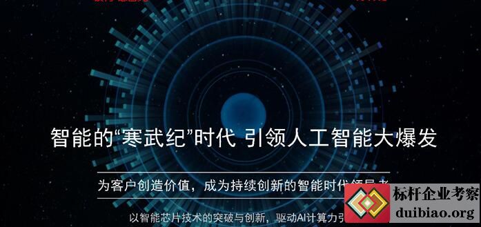 寒武纪