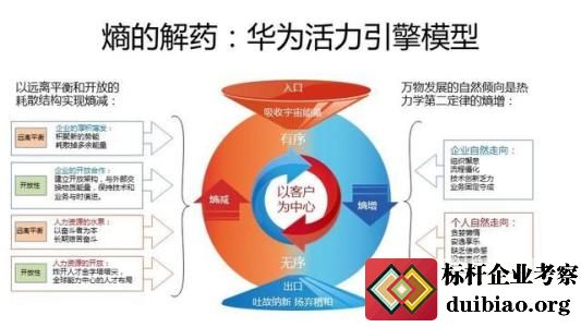 华为熵减