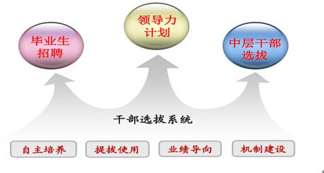 美的