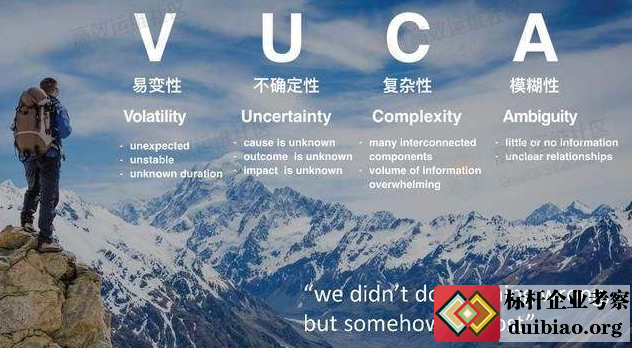 VUCA