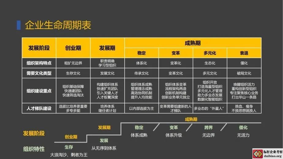 企业生命周期