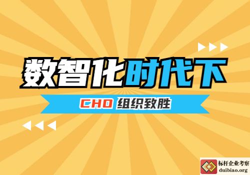 数智化时代下CHO组织致胜第一课