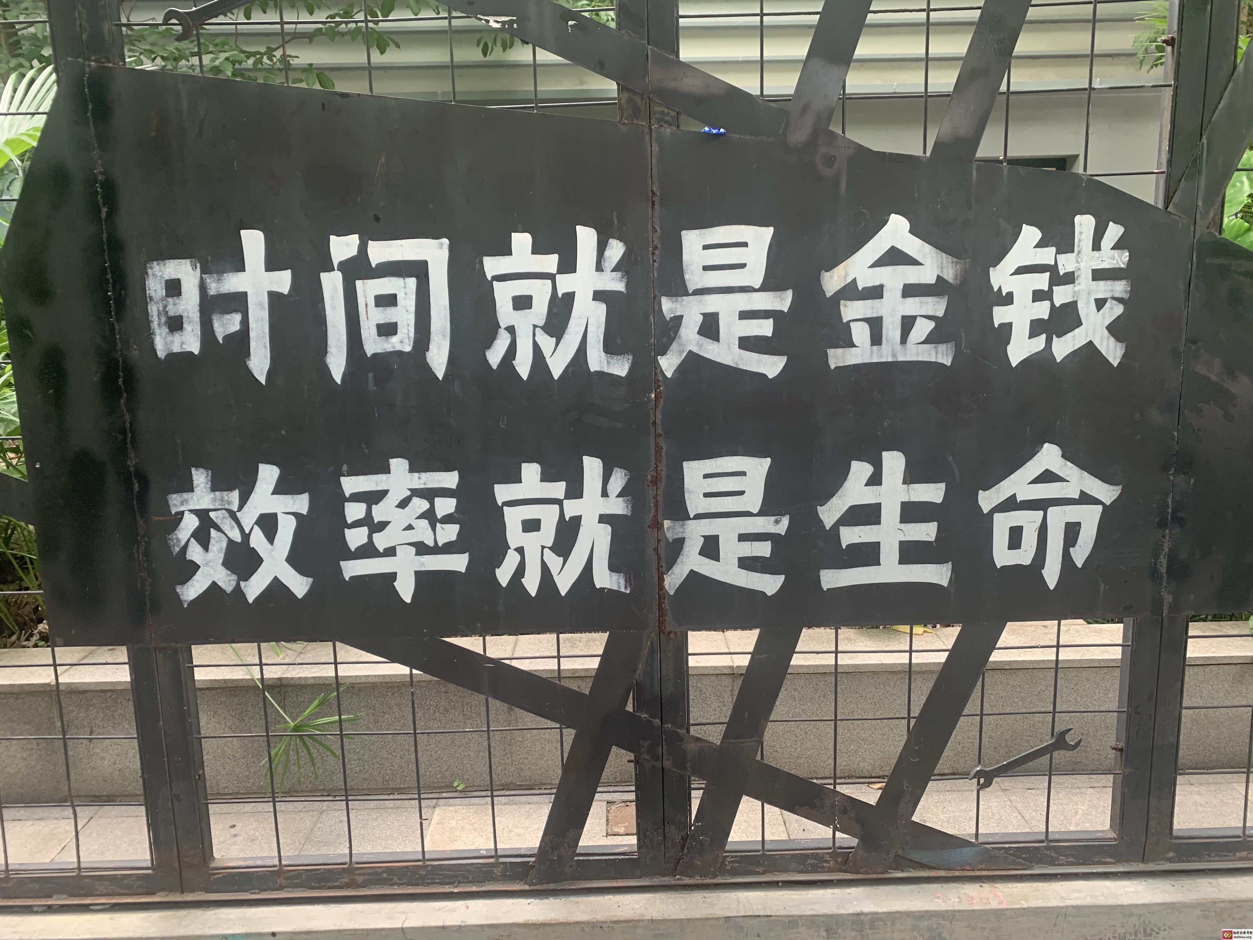 招商蛇口降本增效