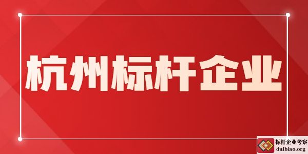 杭州标杆企业考察