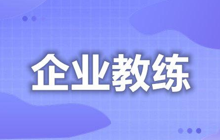 企业教练