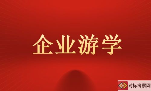 企业游学