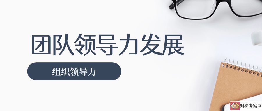 团队领导力发展